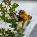 Chile Carretera+Austral 2 33 1920w