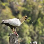 Chile Carretera+Austral 2 39 1920w